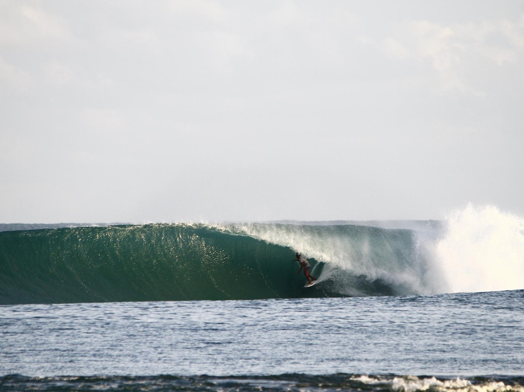 Hash & Family Surf Camp景点图片