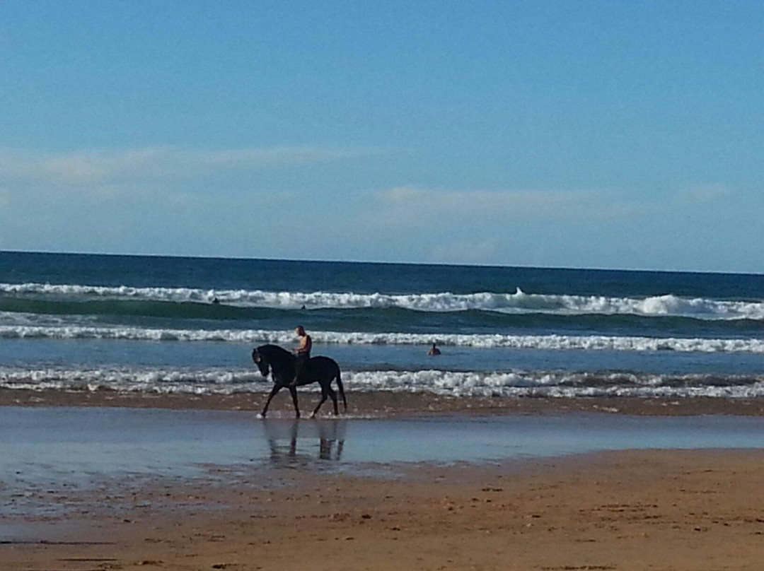 艾因迪亚卜海滩-卡萨布兰卡必去景点