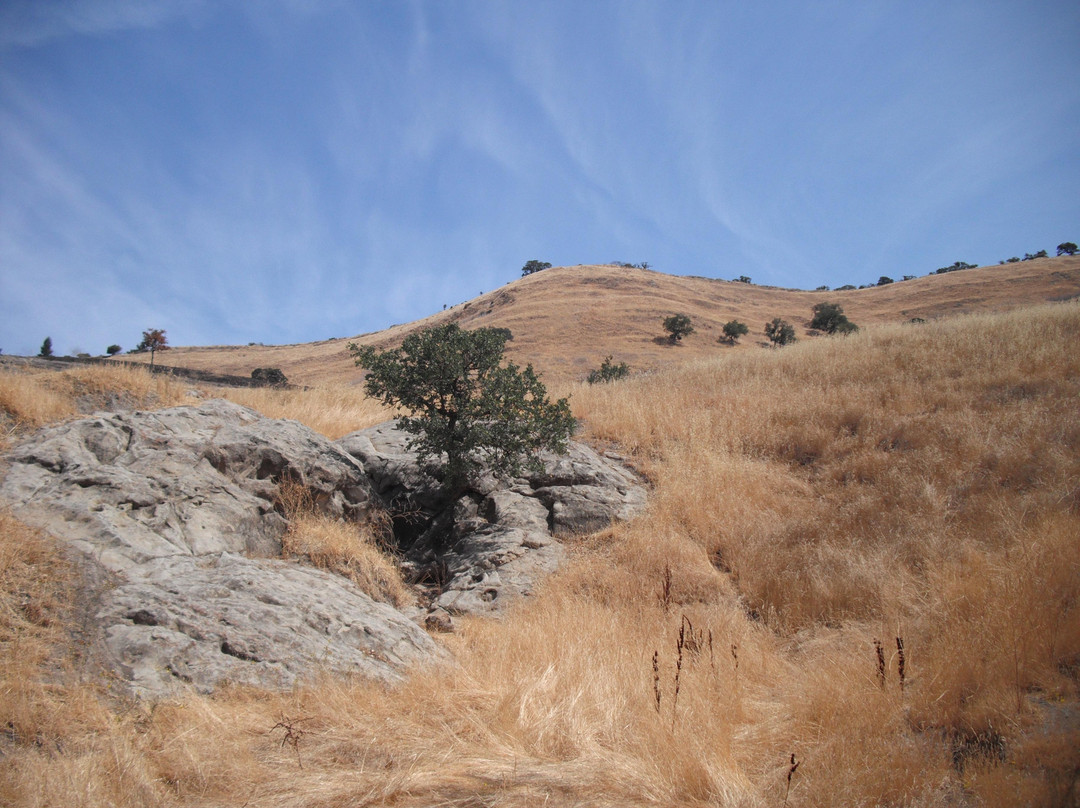 Shell Ridge Open Space-核桃溪必去景点