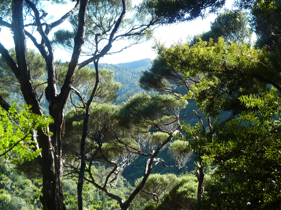 Twin Harbours Tours-奥克兰中心地区必去景点