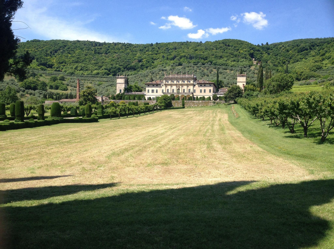Villa Allegri, Arvedi景点图片