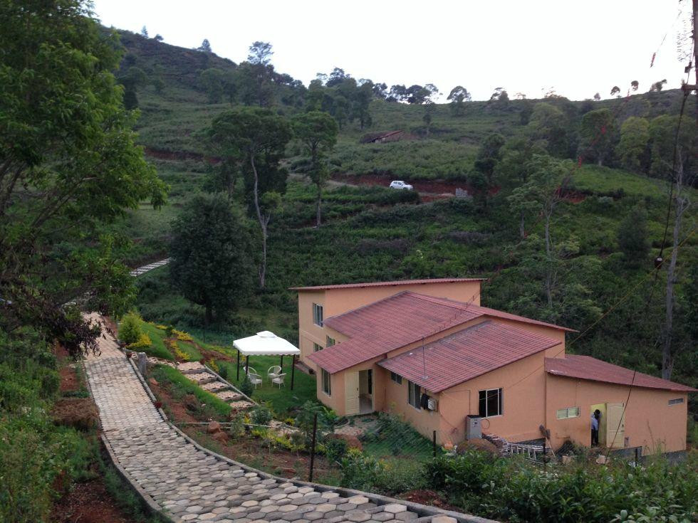 Artha Blue Mountain主图