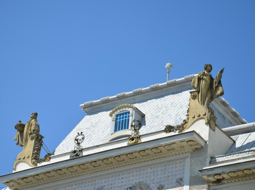 Chernivtsi Museum of Arts景点图片