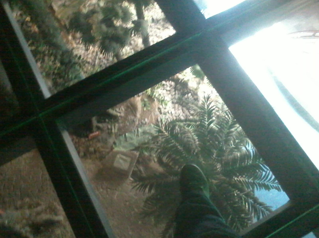 昆明动物博物馆-昆明市必去景点