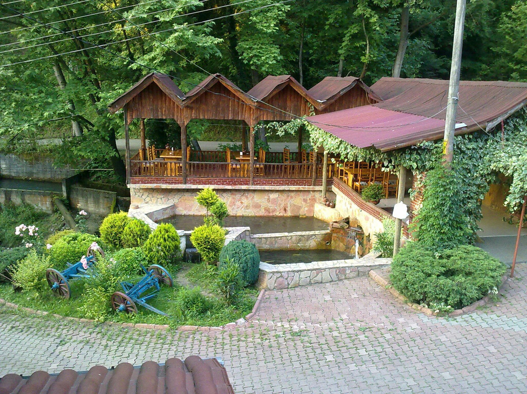 Dinc Alabalik Tesisleri