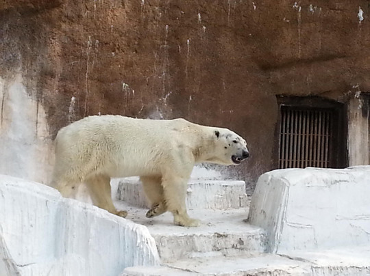 天王寺动物园-大阪市必去景点