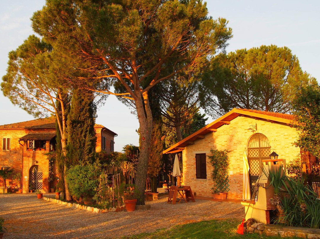 Pozzuolo酒店住宿-Agriturismo La Terra