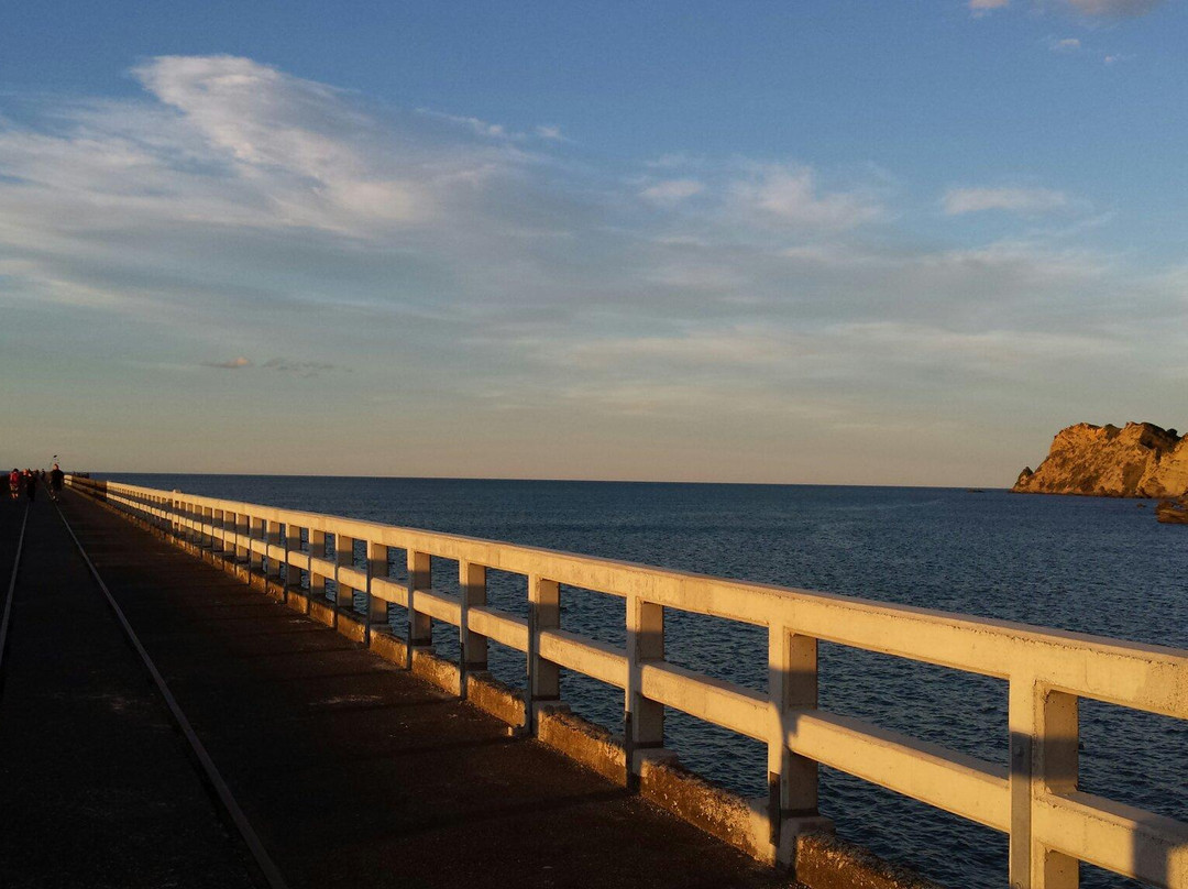 Tolaga Bay Historic Wharf-Tolaga Bay必去景点