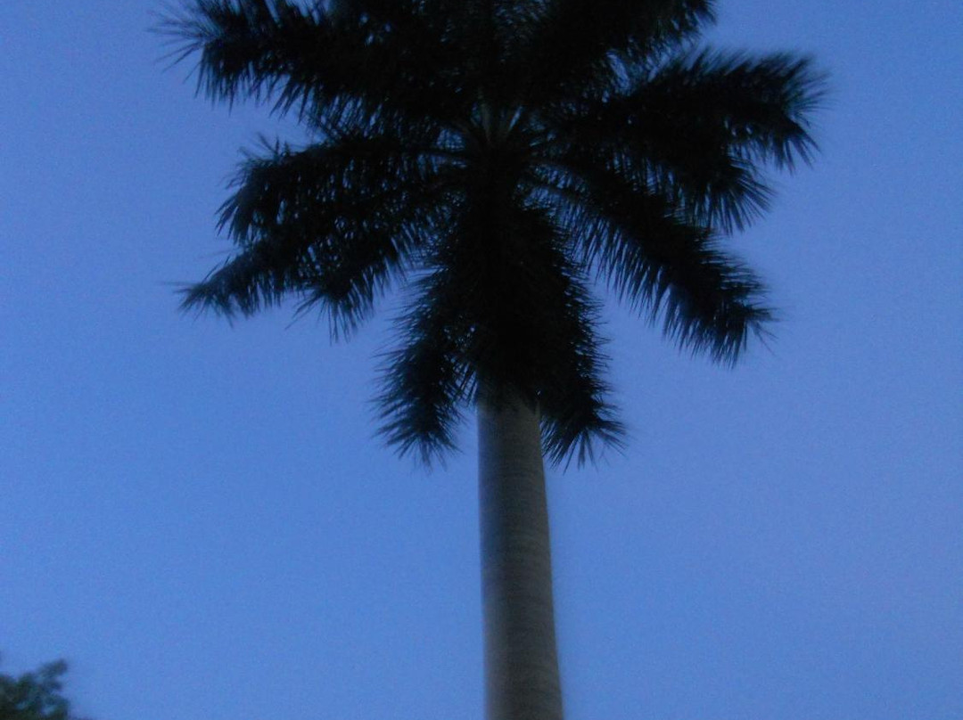 Sivaganga Gardens-坦加布尔必去景点