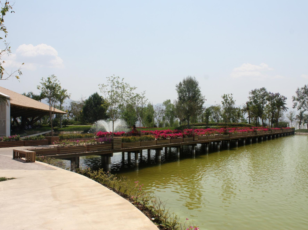 Jardines de México景点图片
