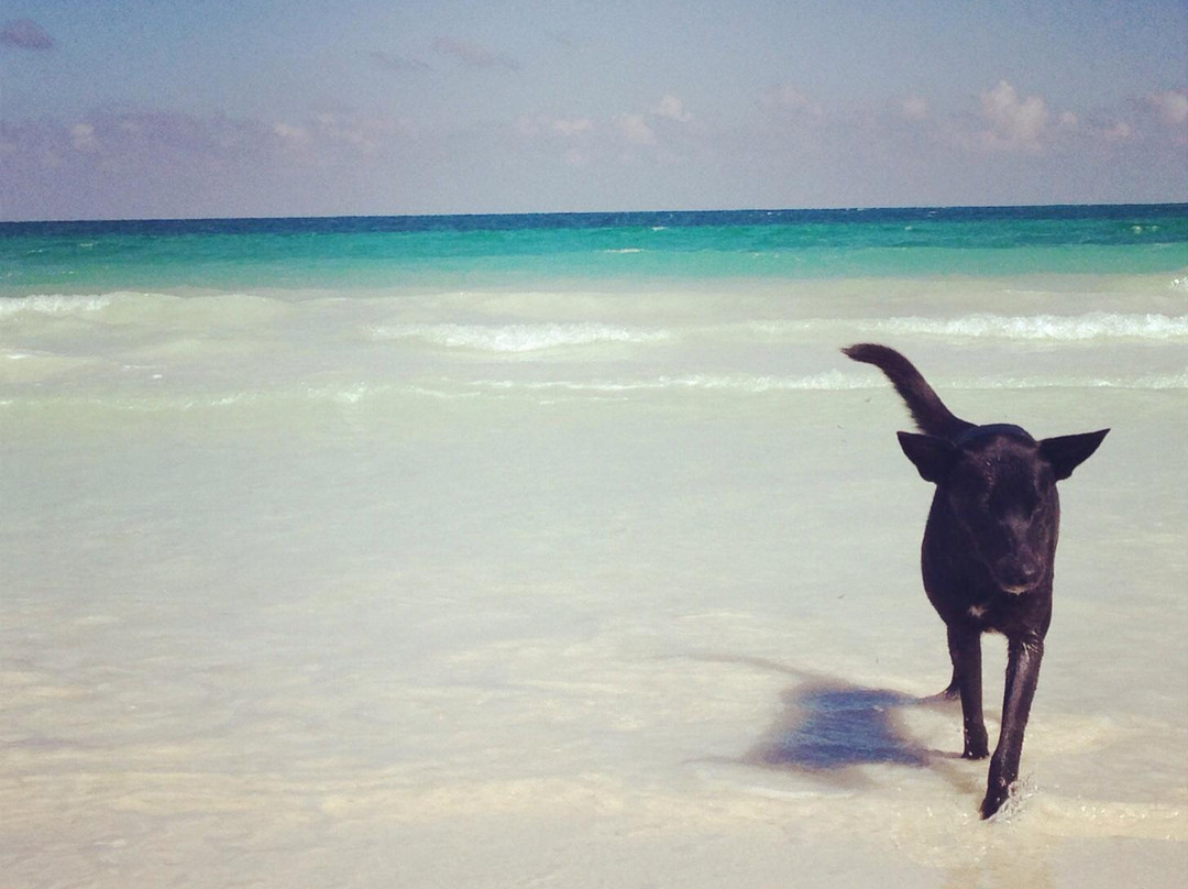 Green Paddle Sian Kaan Tours-锡安卡恩必去景点