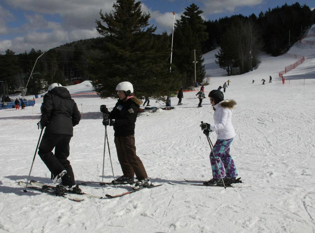 Ski Martock景点图片