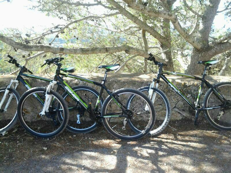 Bicillevant