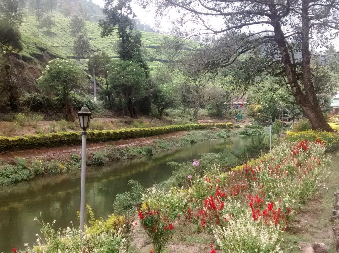 Blossom Hydel Park景点图片