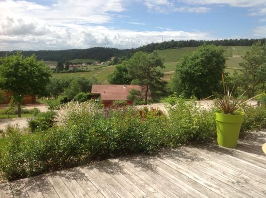 Domaine de la Charmette-酒店景观