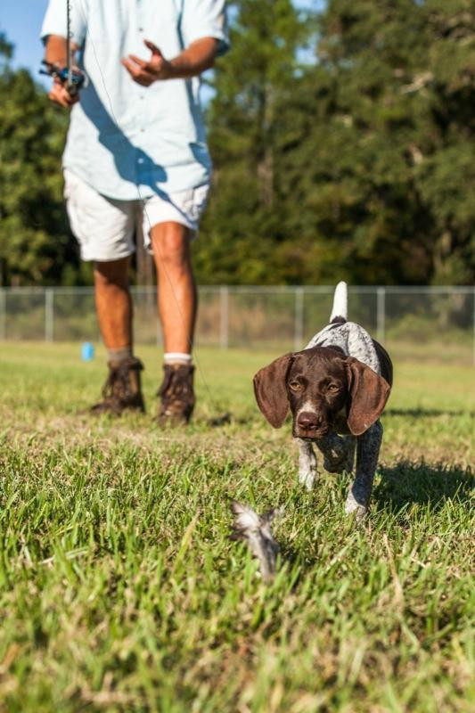 Quail Country Plantation-Arlington必去景点