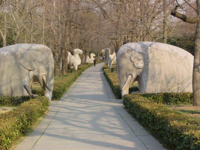 明孝陵-南京市必去景点