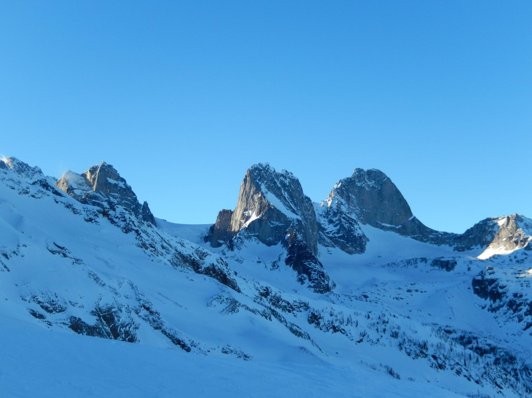 CMH Bugaboo Lodge