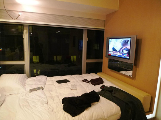 沙田丽豪酒店主图