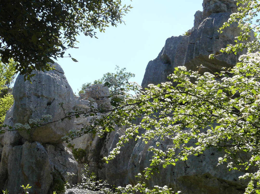 La Mer des Rochers-Sauve必去景点