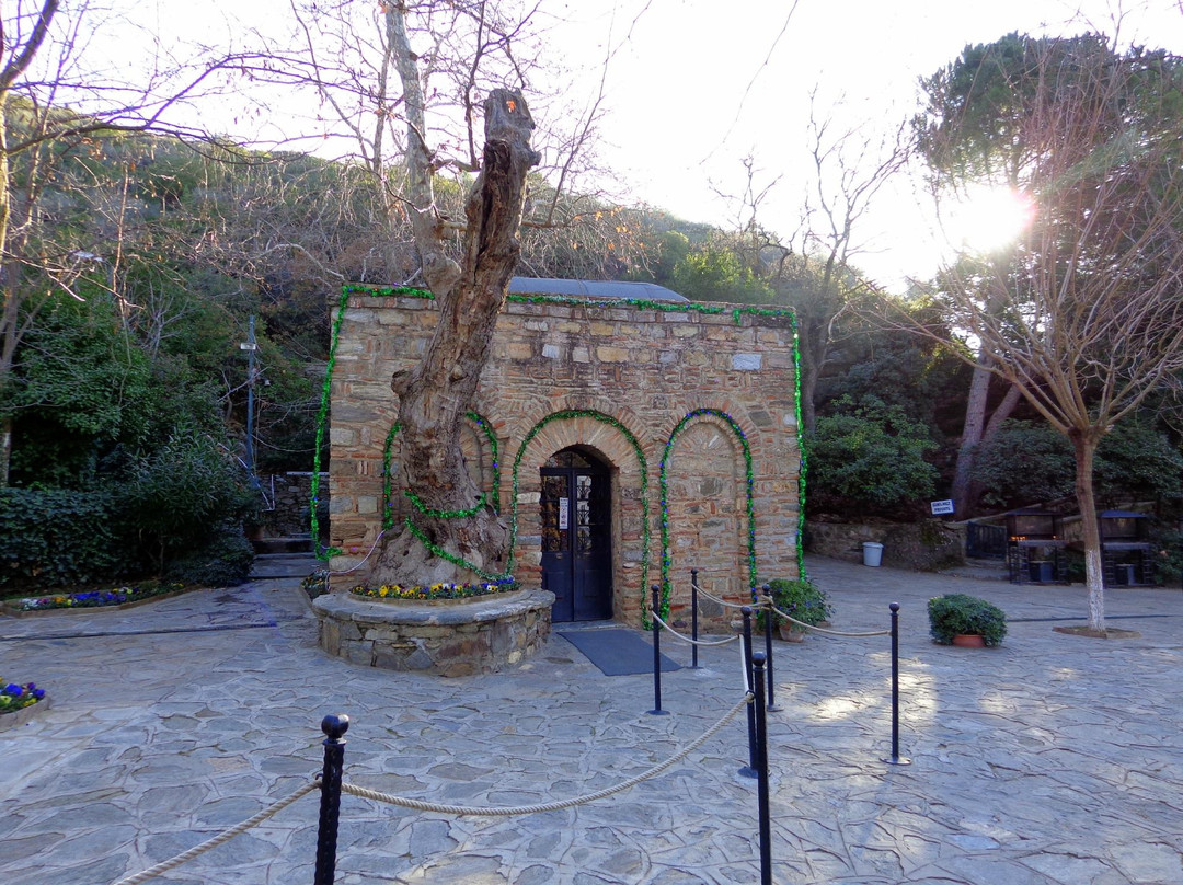 Meryemana (The Virgin Mary's House)景点图片