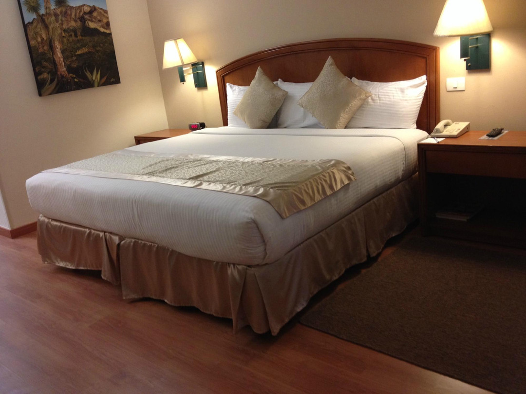 Frontera酒店住宿-Comfort Inn Monclova