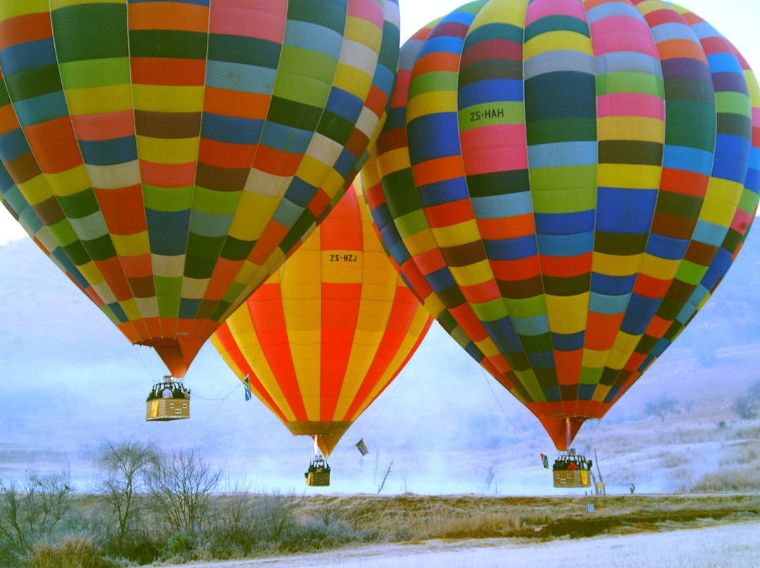 Bill Harrop's Original Balloon Safaris-Magaliesburg必去景点