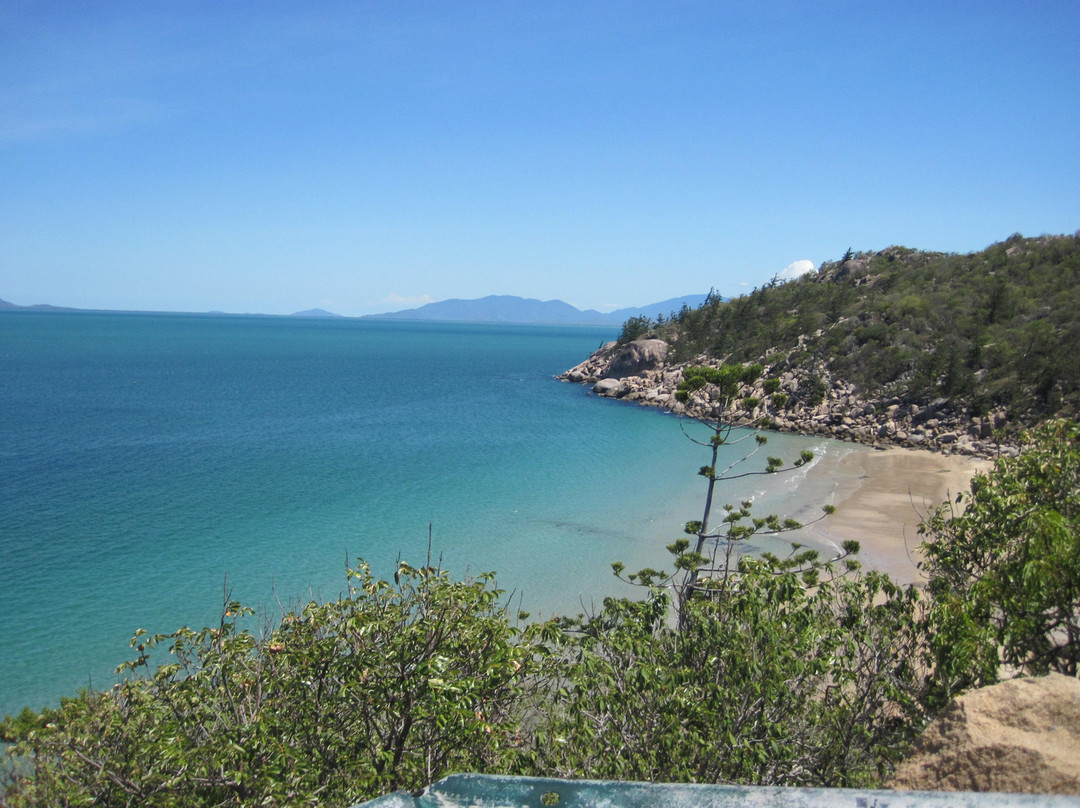 Cod Hole-蜥蜴岛必去景点