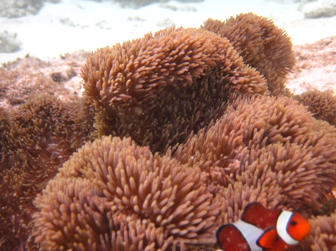 Hidden Beach-爱妮岛必去景点