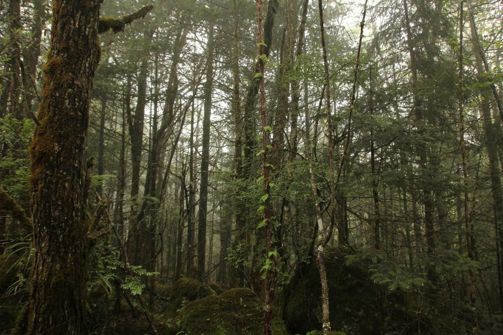 燕子沟风景区-泸定县必去景点