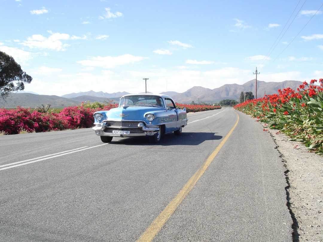 American Dream Cars-蒙提古必去景点