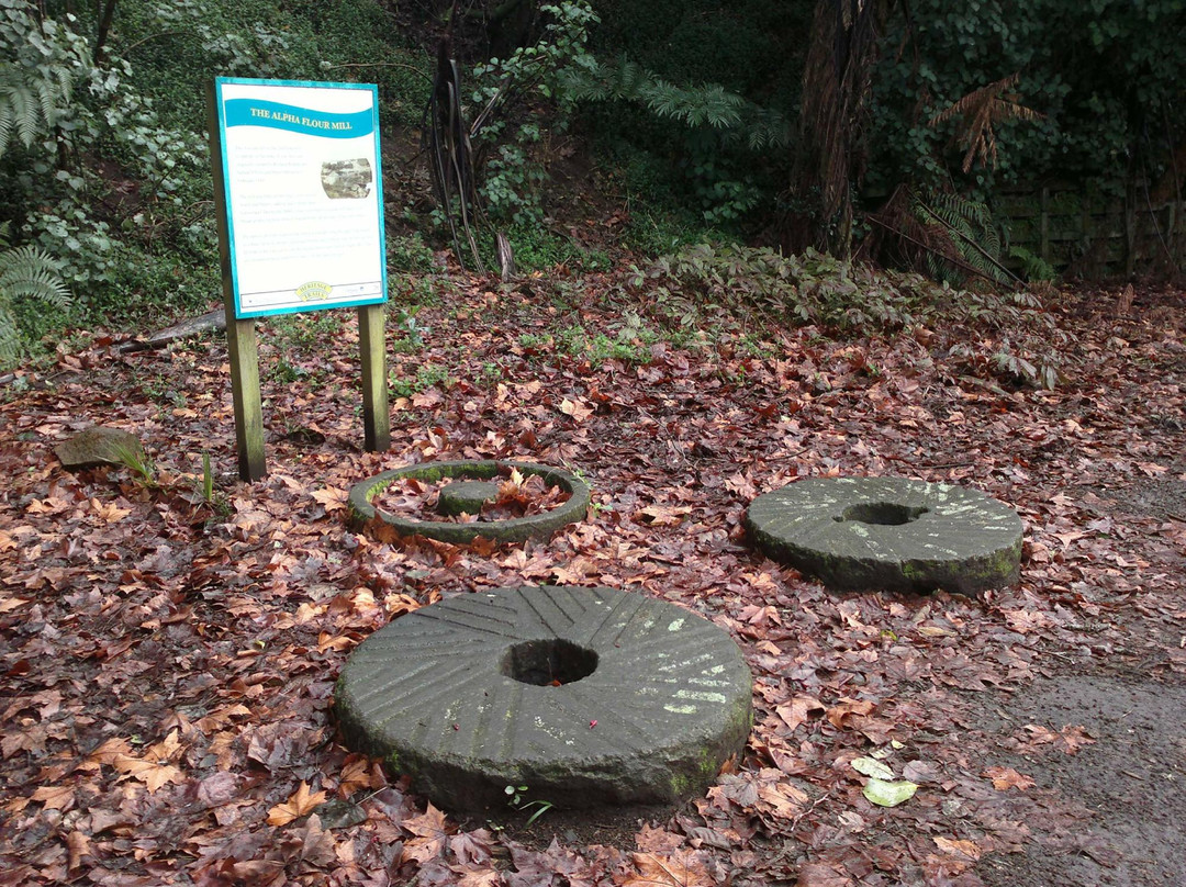 Huatoki Walkway-新普利默斯必去景点