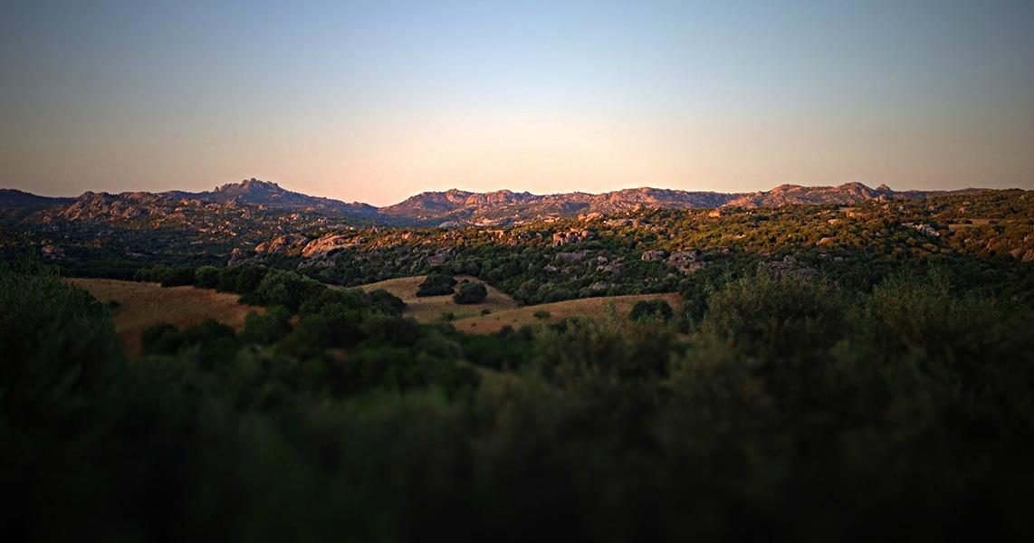 Tenute Testoni Agriturismo e B&B-客卧