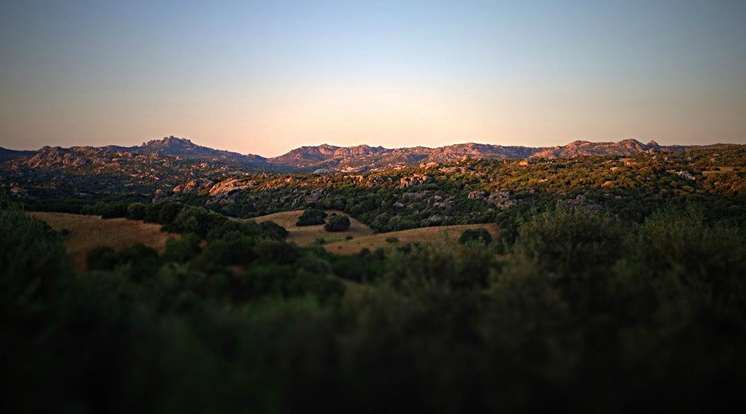 Tenute Testoni Agriturismo e B&B主图