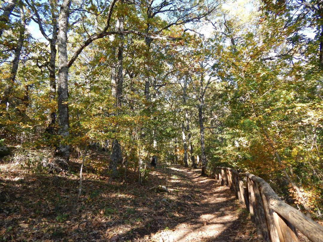 Parco Regionale di Gallipoli Cognato - Piccole Dolomiti Lucane景点图片