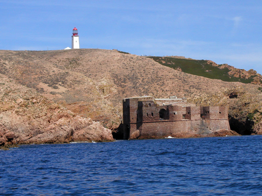 Haliotis Dive Centre Santa Maria-波尔图镇必去景点