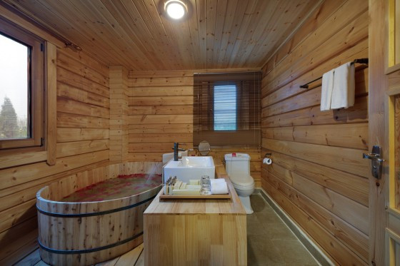 霸州茗汤日月潭温泉会馆主图