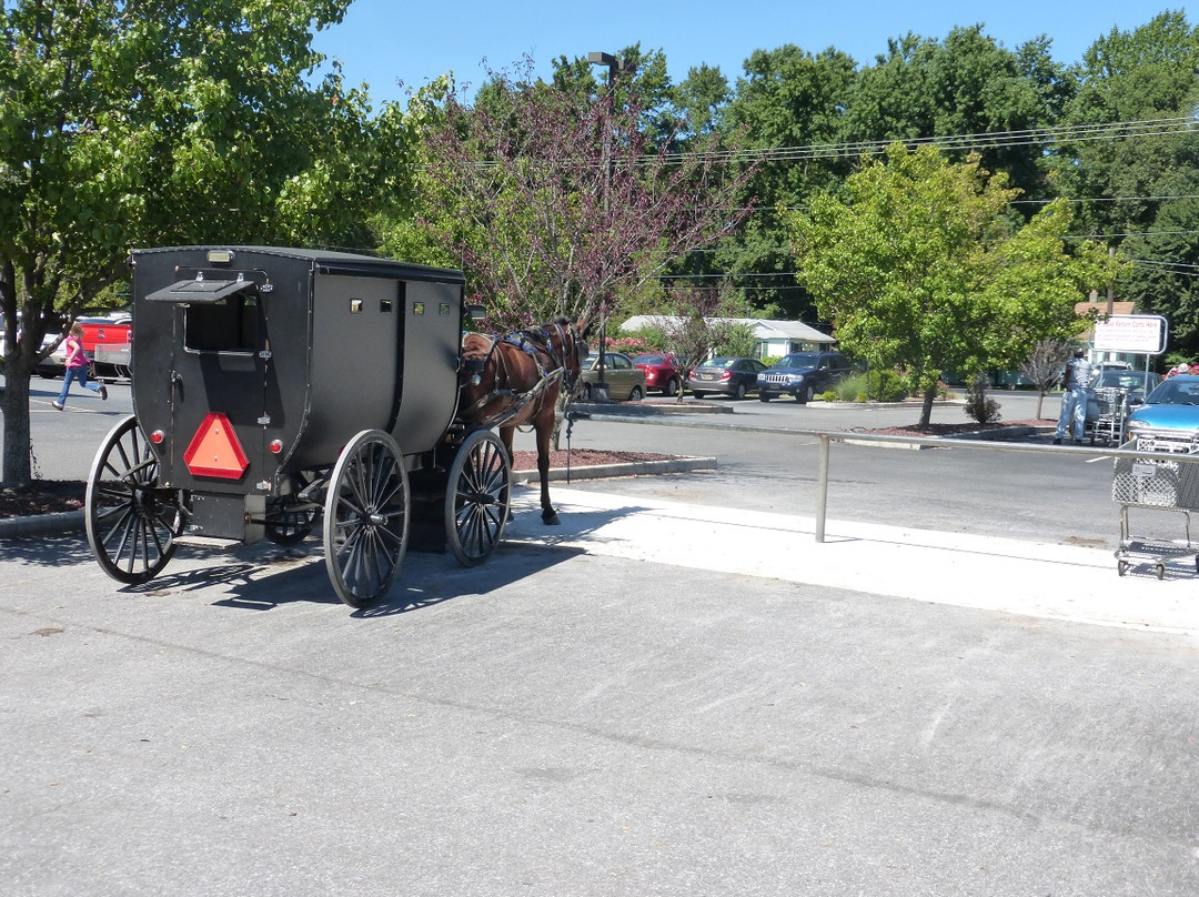 Byler's-多佛必去景点