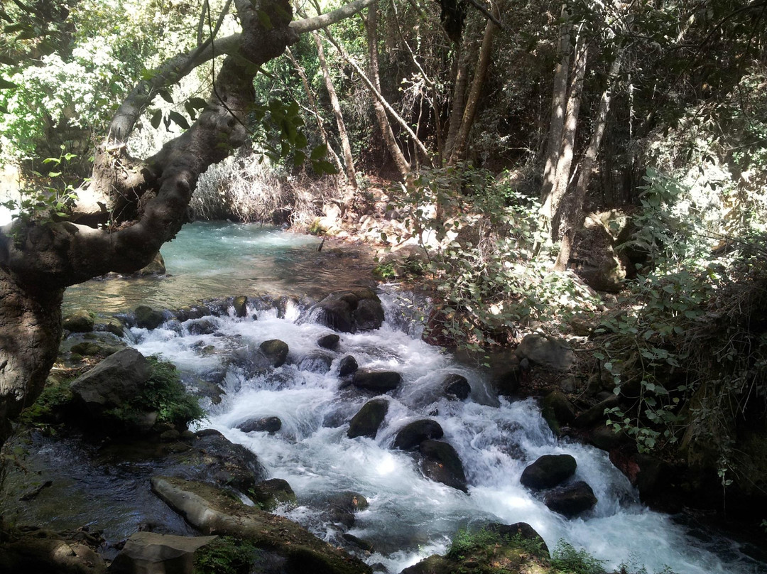 Banias Waterfall景点图片