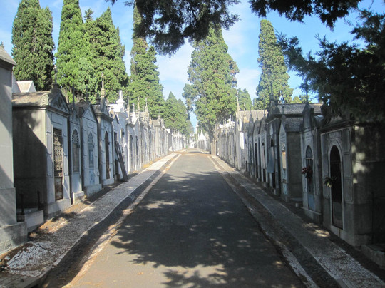 Cemiterio dos Prazeres-里斯本必去景点