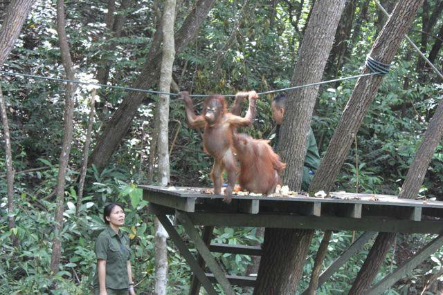 Rasa Ria Reserve By Shangri-la-斗亚兰必去景点