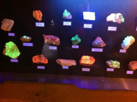 Discovery Science Place景点图片