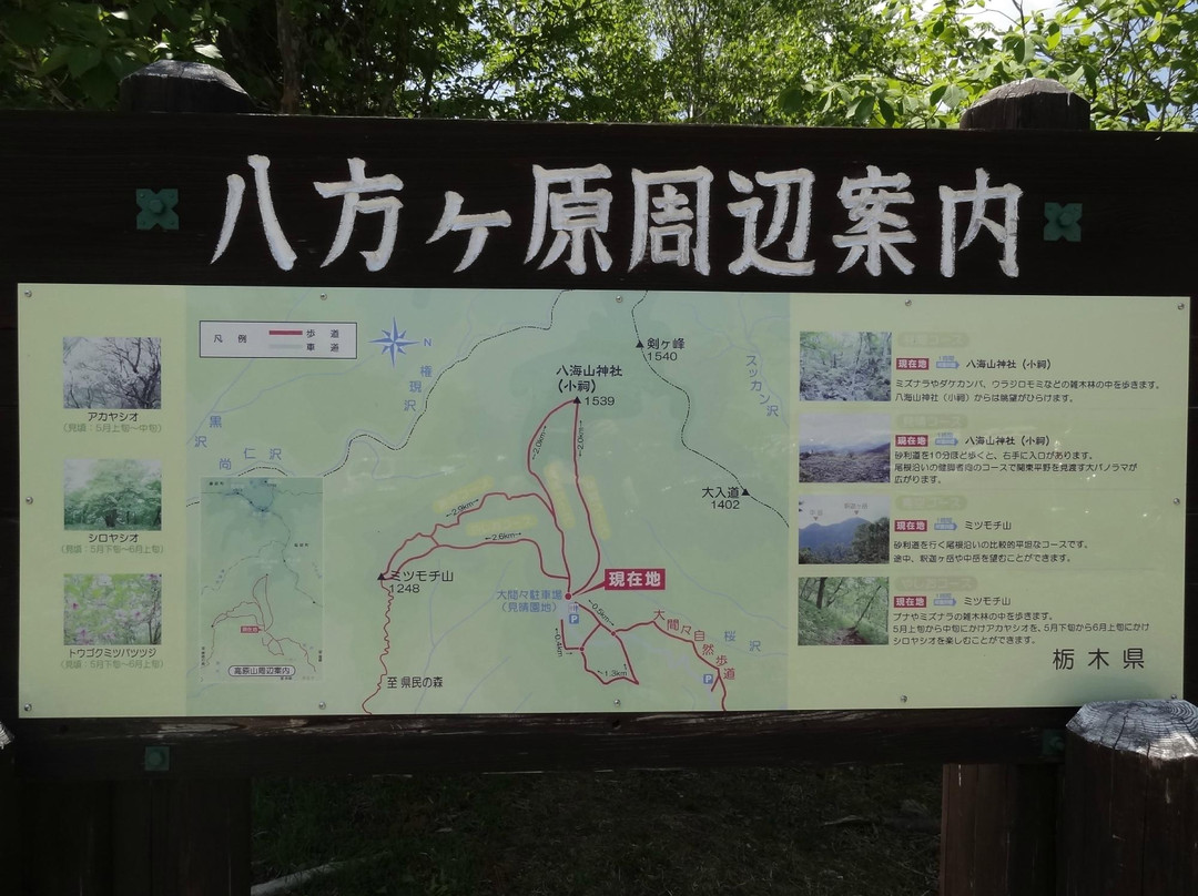 Happogahara-矢板市必去景点