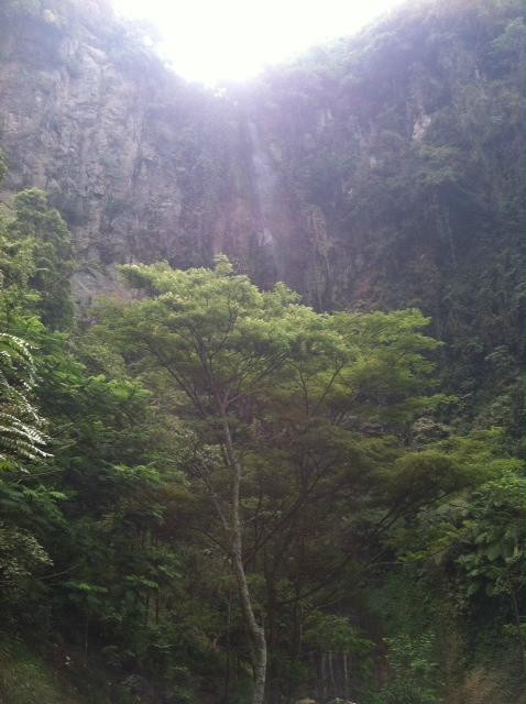 Kali Pancur Waterfall景点图片