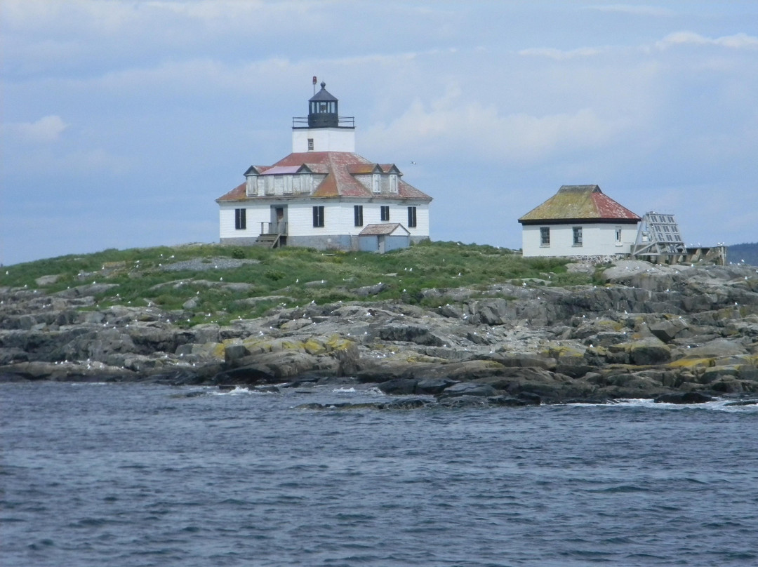 Acadian Boat Tours-巴港必去景点