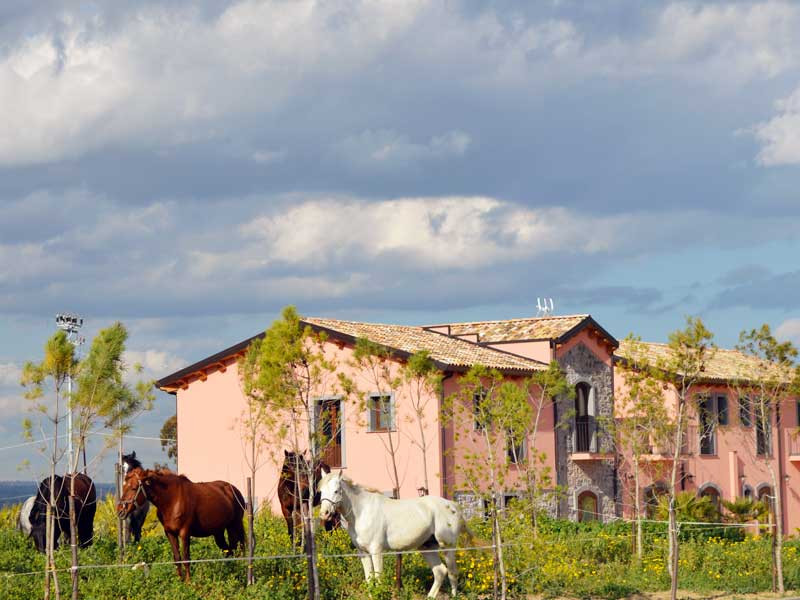 Agriturismo Oasi Di Francesca
