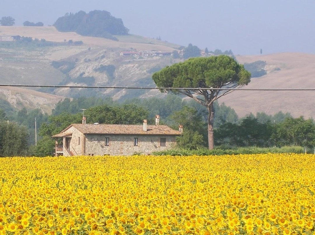 Agriturismo Il Paglia