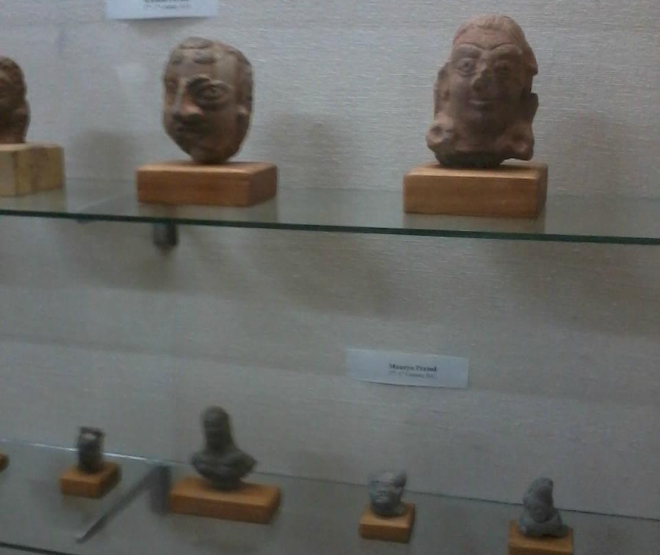 Himachal State Museum景点图片
