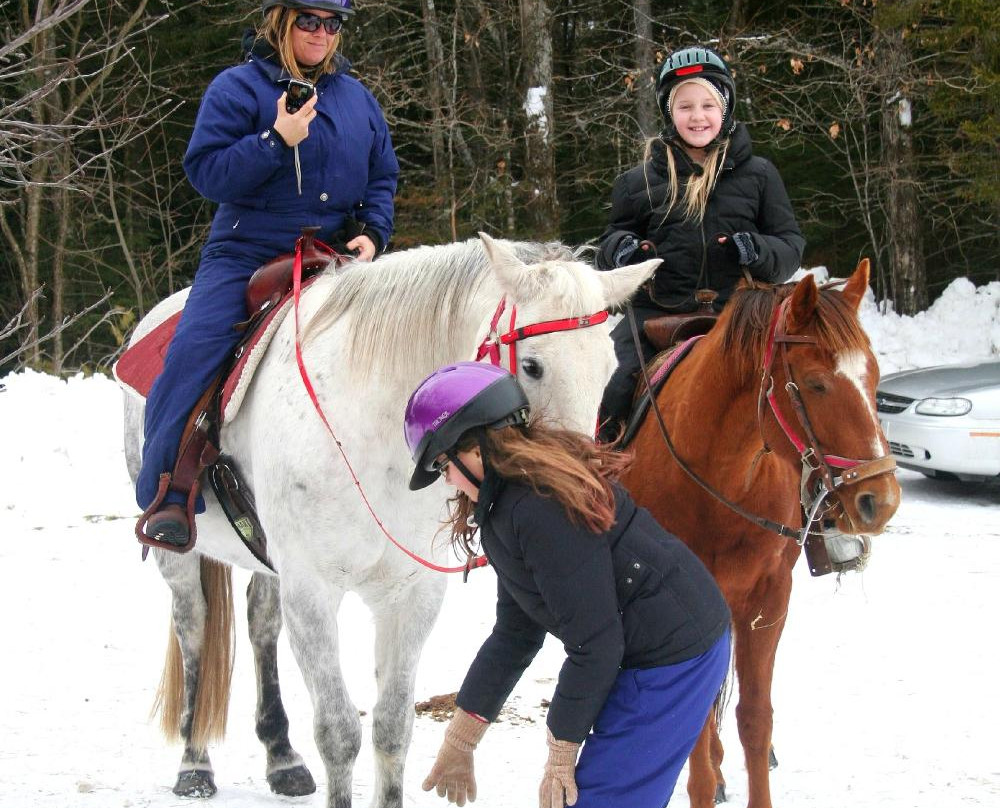 Adirondack Equine Center-普莱西德湖必去景点
