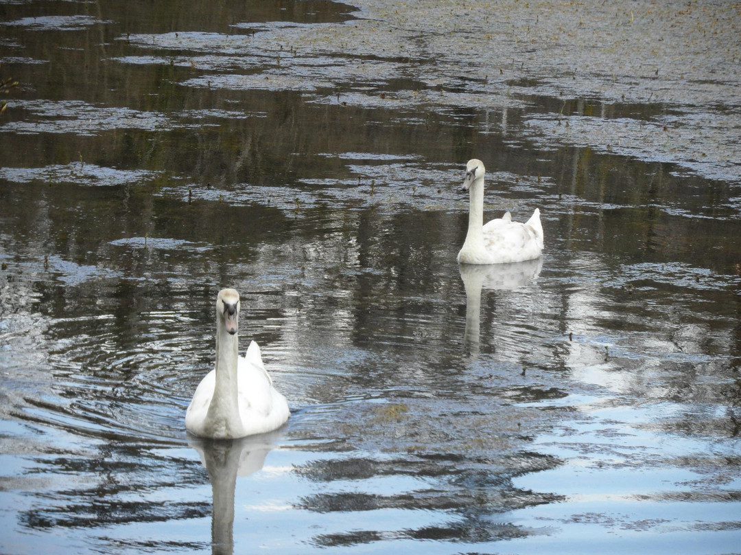 Marfield Lake-Clonmel必去景点